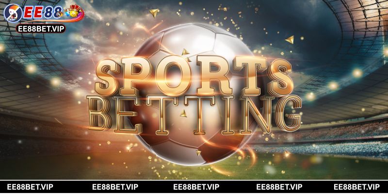 Bật mí 3 cách phân tích, soi kèo rung chính xác nhất