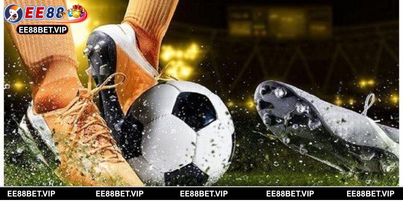 Bóng đá môn thể thao vua rất được hội viên yêu thích