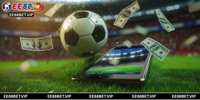 Cách xác định kèo bẫy nhanh chóng