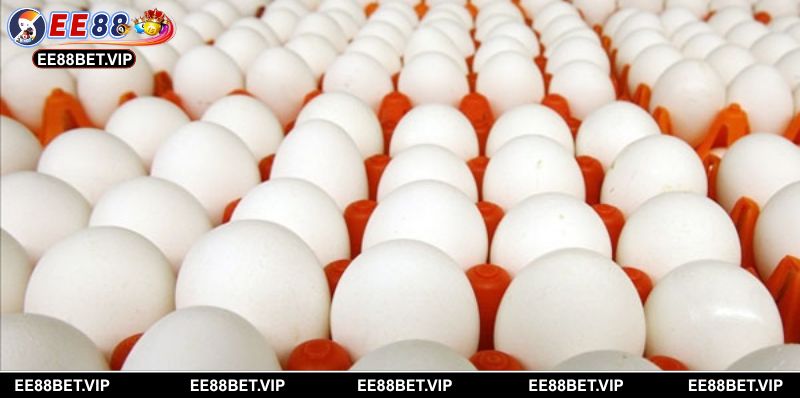 Chia sẻ chọn giấc mơ và chọn con số may mắn