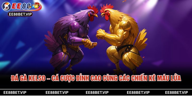 Đá Gà Kelso – Cá Cược Đỉnh Cao Cùng Các Chiến Kê Máu Lửa