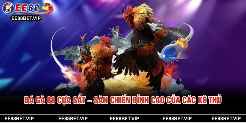 Đá Gà 88 Cựa Sắt – Sàn Chiến Đỉnh Cao Của Các Kê Thủ 