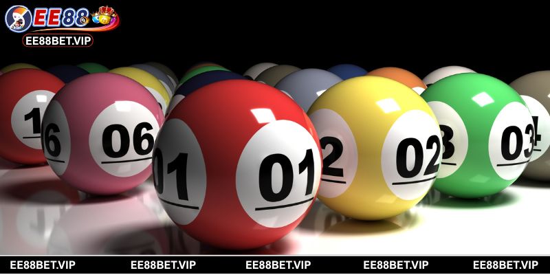 Những đối tác hàng đầu mang đến trải nghiệm chất lượng